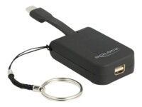 DeLOCK Ekstern videoadapter