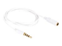 Delock Audiokabel 1m Hvid