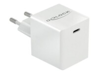 DeLOCK Adapter 40Watt