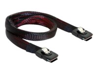 DeLOCK Serial Attached SCSI (SAS) internt kabel 50cm