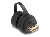 Delock USB-adapter Sort