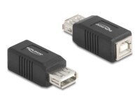 Delock USB-adapter Sort