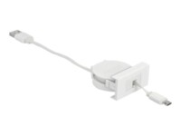 Delock USB-kabel 50cm Hvid