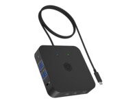 ICY BOX USB-C Dockingstation
