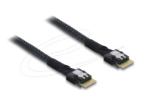 Delock Serial Attached SCSI (SAS) internt kabel Sort