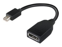 Lenovo DisplayPort adapter 17.6cm