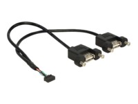 Delock USB intern til ekstern kabel 25cm Sort