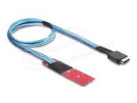 Delock M.2 Key M to 1 x OCuLink SFF-8611 Converter with 45 cm cable