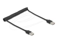 Delock USB-kabel 80cm Sort