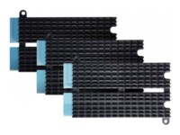 ASUSTOR SSD-kølelegeme 1-pack Sort