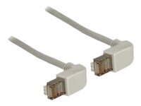 DeLOCK CAT 5e Kabel med afskærmning med folie og kobberfletning (SFTP 1m Patchkabel Grey