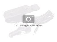 HP Ørestik Trådløst headset