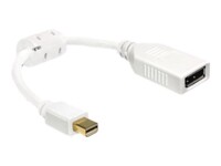 Delock DisplayPort adapter 21cm