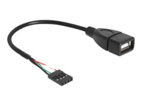 Delock USB intern til ekstern kabel 20cm