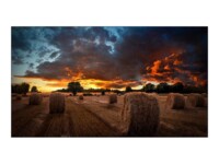 Samsung VM55B-U 55' Digital skiltning 1920 x 1080