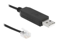 Delock Adapter cable USB Type-A to Serial RS-232 RJ12 with ESD protection APC 2 m