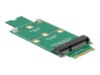DeLOCK Adapter mSATA > M.2 NGFF Lagringskontrol