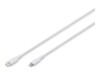 ASSMANN Lightning-kabel 50cm Hvid