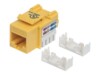 Intellinet Keystone jack