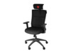 Genesis Ergonomic Chair Astat 200 Black