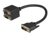 StarTech.com 1 ft DVI-D to 2x DVI-D Digital Video Splitter Cable - M/F (DVISPL1DD) Videosplitter 30.5cm Sort