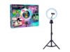 Studio Creator 360 Ringlys