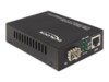 DeLOCK Delock Media Converter Base-T to 100 Base-X SFP Fibermedieomformer Ethernet Fast Ethernet Gigabit Ethernet