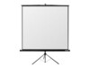 Reflecta CrystalLine Tripod 86.9' Matte White