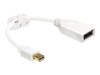 Delock DisplayPort adapter 21cm