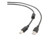 Cablexpert CCF-USB2-AMBM-6 USB-kabel 1.8m Sort