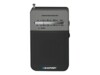 Blaupunkt PR3BK Privat radio Sort