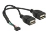 Delock USB intern til ekstern kabel 20cm Sort