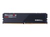 G.Skill Ripjaws S5 DDR5 SDRAM 32GB CL46 On-die ECC DIMM 288-PIN