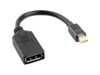 Lanberg DisplayPort adapter 12cm
