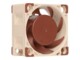 Noctua NF-A4x20 PWM Fan 1-pack Beige Brun 40 mm