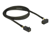 DeLOCK Serial Attached SCSI (SAS) internt kabel 1m