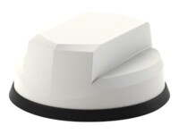 Panorama Great White