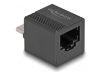 DeLock Adapter to LAN mini Netværksadapter Ethernet Fast Ethernet Gigabit Ethernet