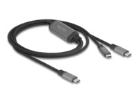 Delock USB Type-C kabel 1.2m Sort Grå