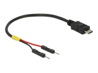 Delock USB / strøm kabel 10cm Sort