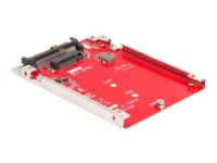 DeLOCK Interfaceadapter