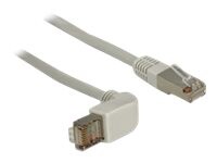 DeLOCK CAT 6a S/FTP 1m Patchkabel Grey
