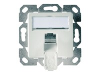 Telegärtner Anschlussd. ISO/IEC Cat.6A AMJ45 8 KUp/50 alpinw