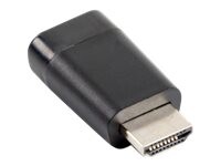 Lanberg Videoadapter Sort