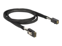 DeLOCK Serial Attached SCSI (SAS) internt kabel 1m