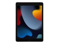 Apple 10.2-inch iPad Wi-Fi 10.2' 64GB Grå