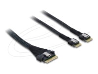 Delock Serial Attached SCSI (SAS) internt kabel Sort