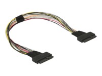 DeLOCK Serial Attached SCSI (SAS) internt kabel Sort 50cm