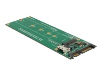 DeLOCK U.2 SFF-8654 or SATA Converter to 1 x M.2 Key M slot Lagringskontrol