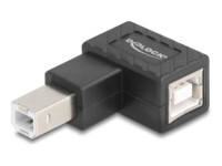 Delock USB-adapter Sort